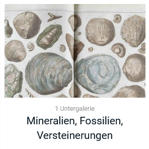 Mineralien, Fossilien, Erdgeschichte