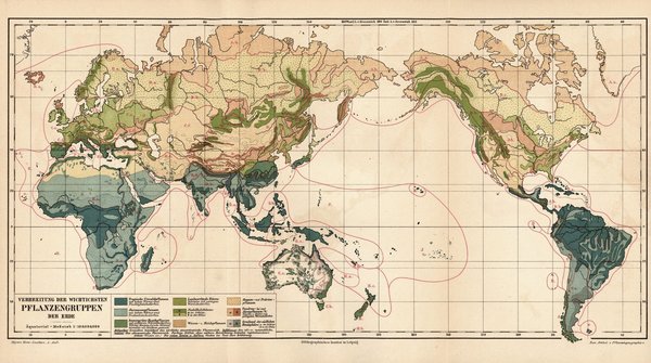 Verbreitung der wichtigsten Pflanzengruppen der Erde.  Alte Landkarte von 1889.