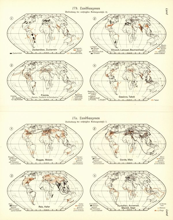Landbauzonen der Welt.  Alte Landkarte von 1932.