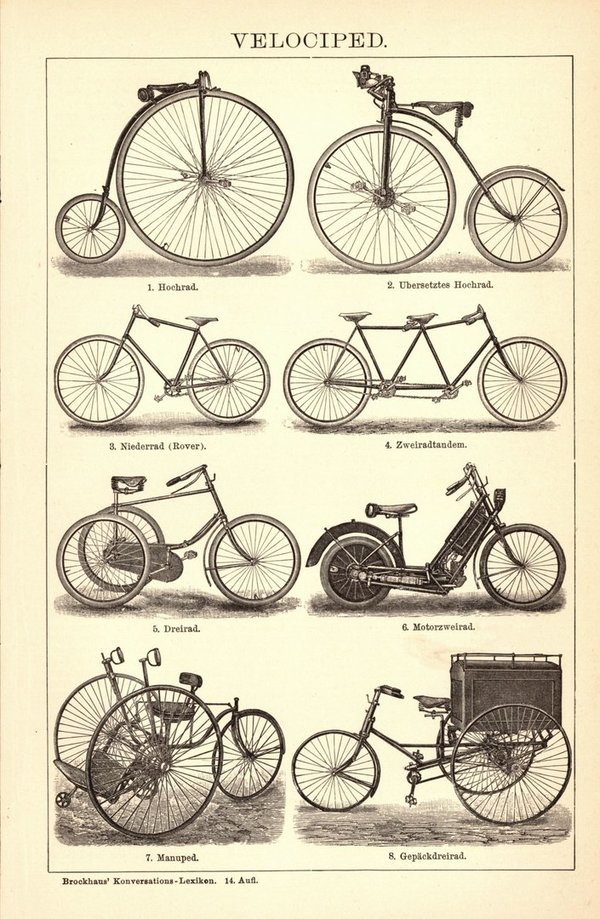 Velociped, Fahrräder. Buchillustration (Stich) von 1902
