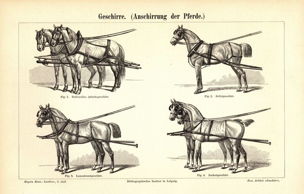 Geschirre. Anschirrung der Pferde. Buchillustration (Stich) von 1895