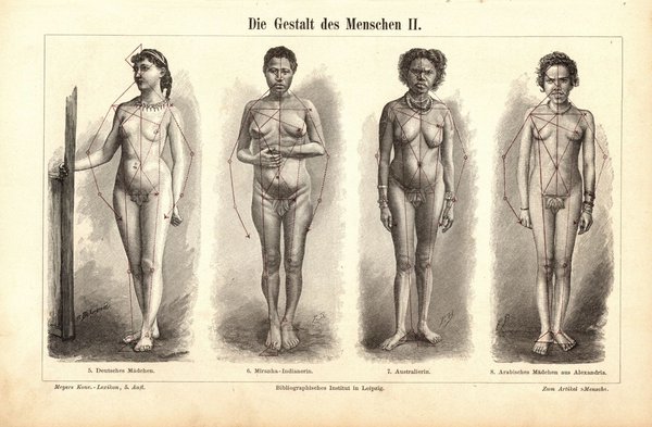 Die Gestalt des Menschen II. Buchillustration (Stich) von 1897
