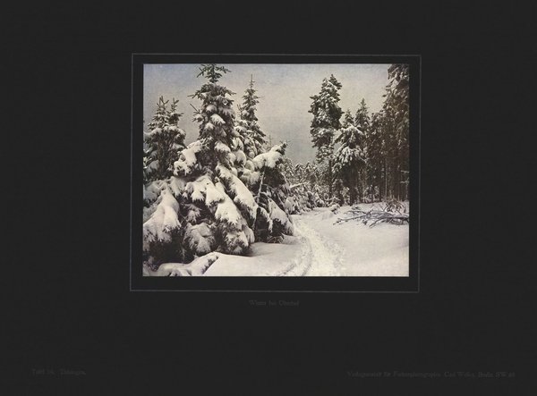 Winter bei Oberhof, Thüringen. Farbenphotographie von 1930.