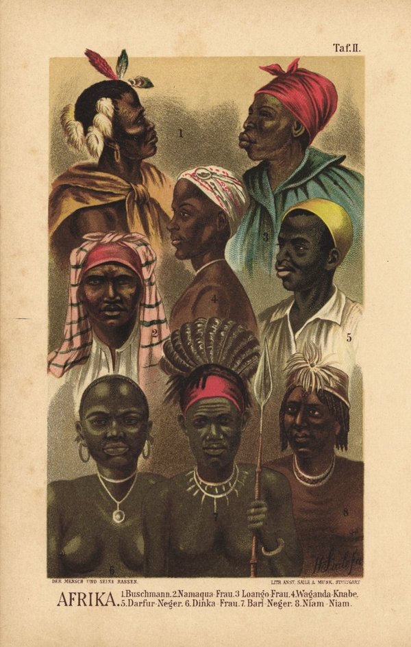Afrika, Buschmann, Darfur, Bari, Niam-Niam, Waganda, Loango. Lithografie von 1892