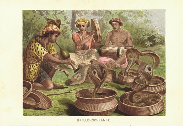 Brillenschlage, Schlangenbeschwörer. Lithografie von 1890