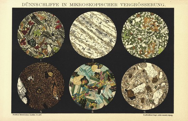Dünnschliffe in mikroskopischer Vergrößerung. Lithographie von 1894